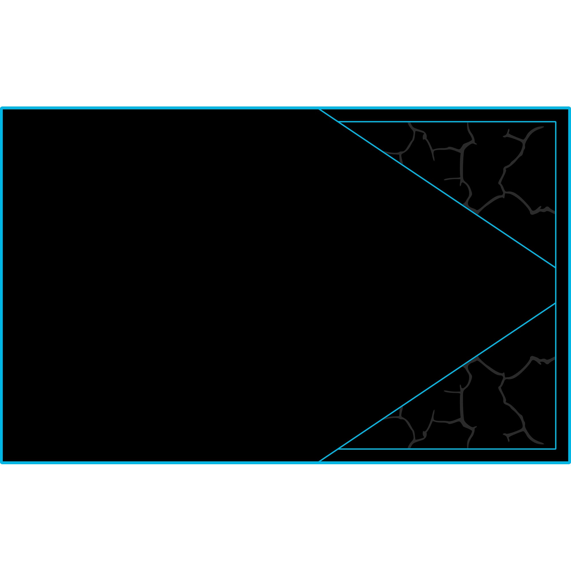 Polaris Pro R - 4 Seat Headliner - AZP