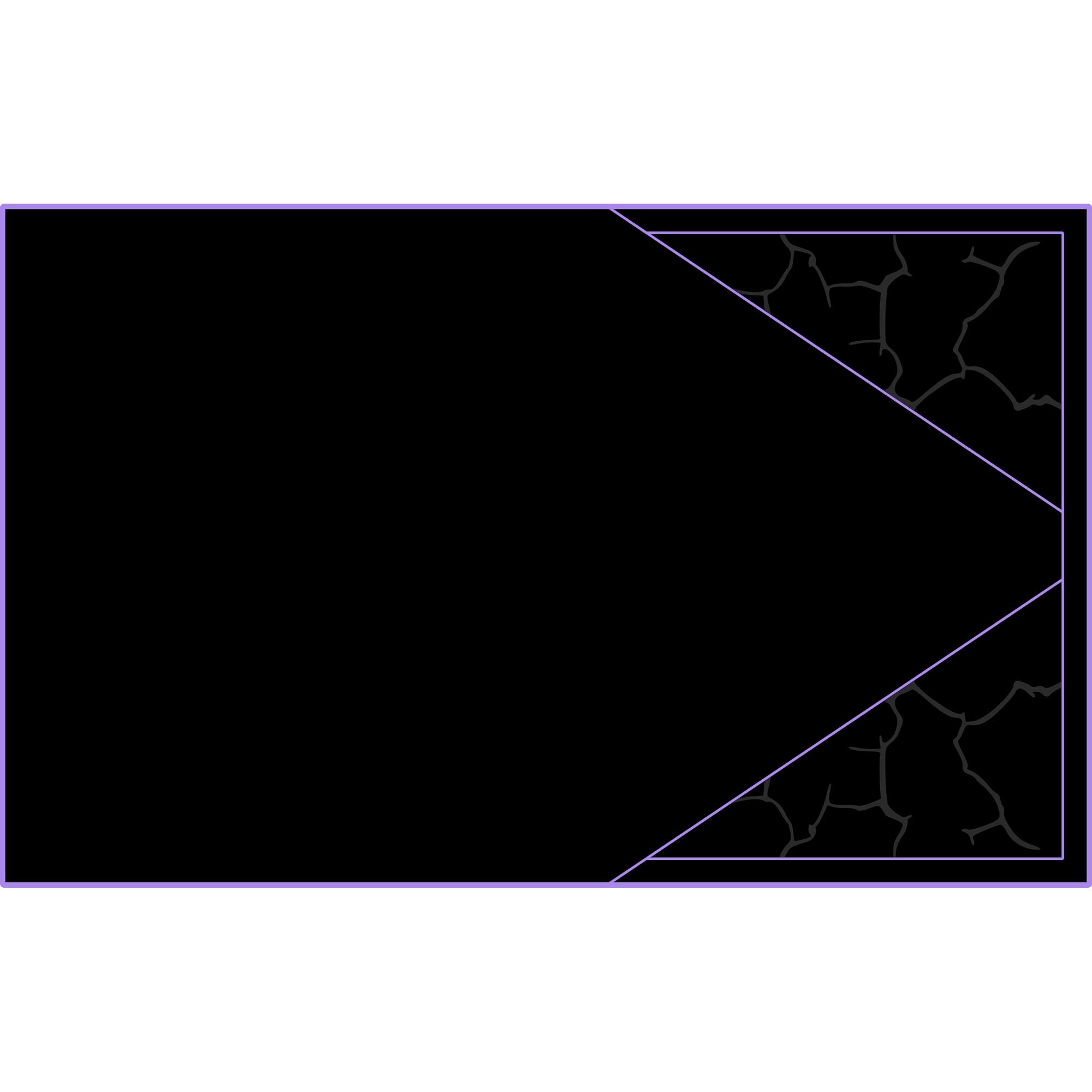 Polaris Pro R - 4 Seat Headliner - AZP