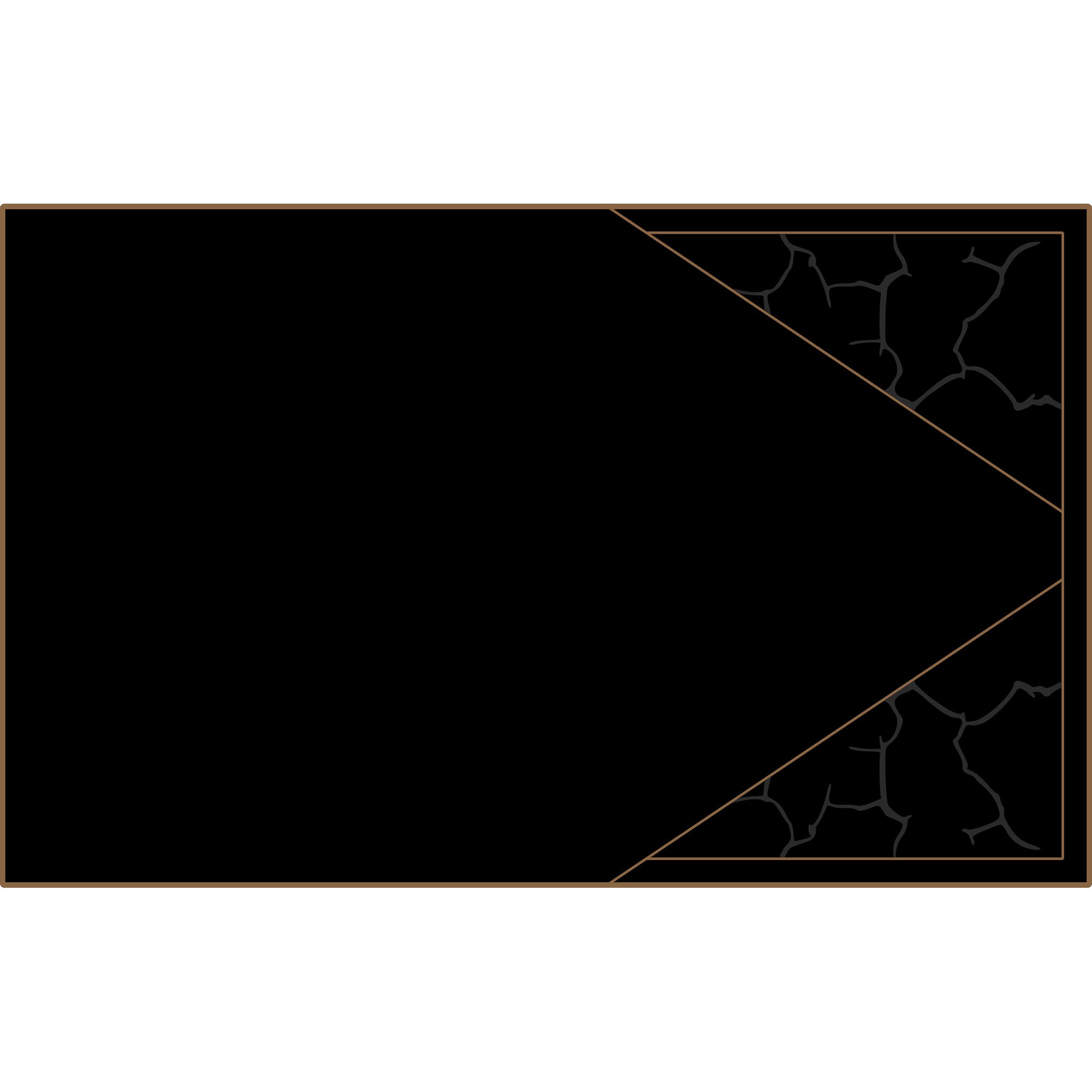 Polaris Pro R - 4 Seat Headliner - AZP