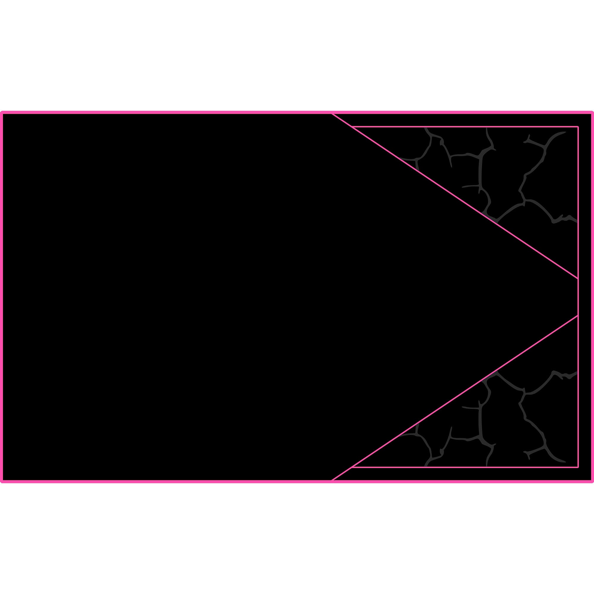 Polaris Pro R - 4 Seat Headliner - AZP