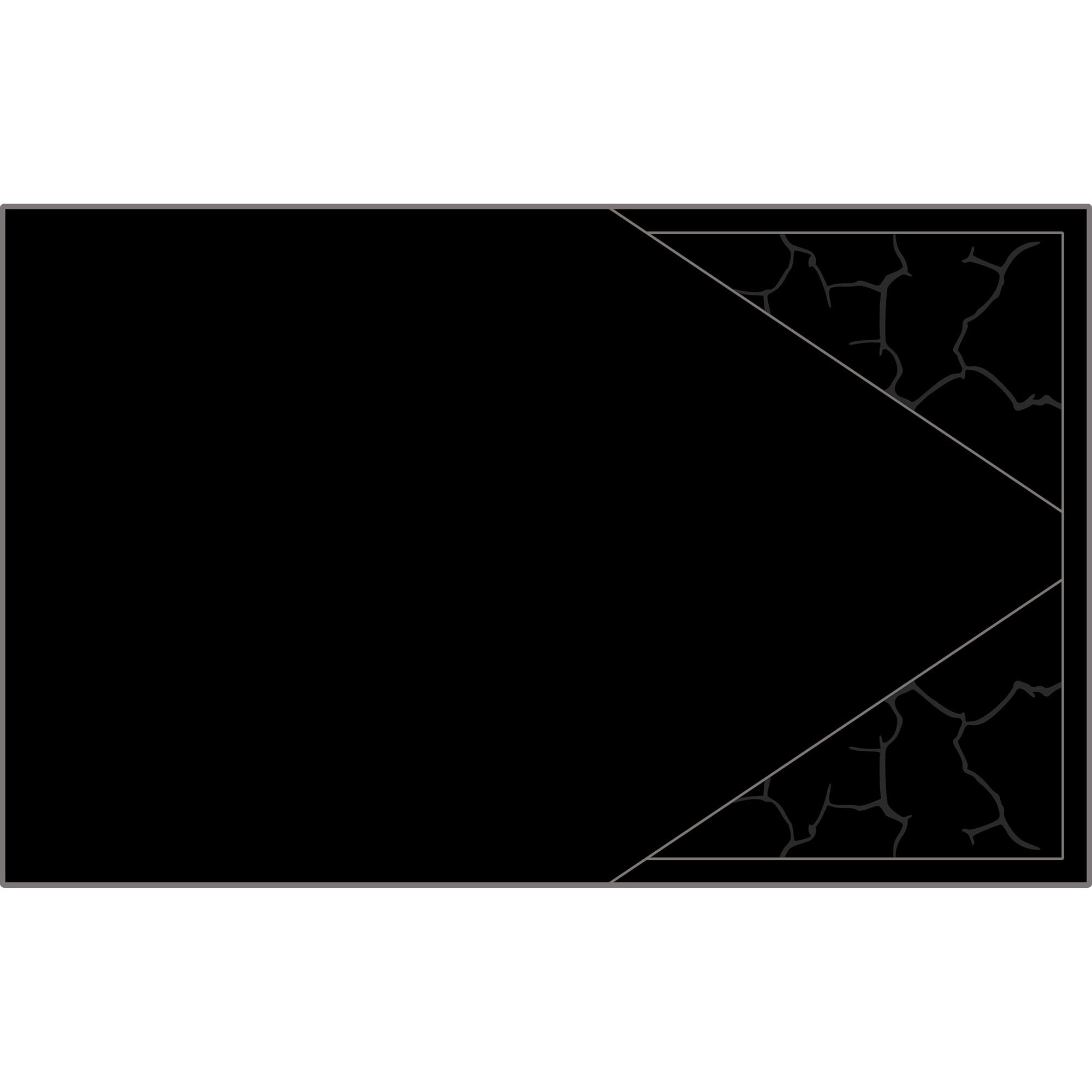 Polaris Pro R - 4 Seat Headliner - AZP