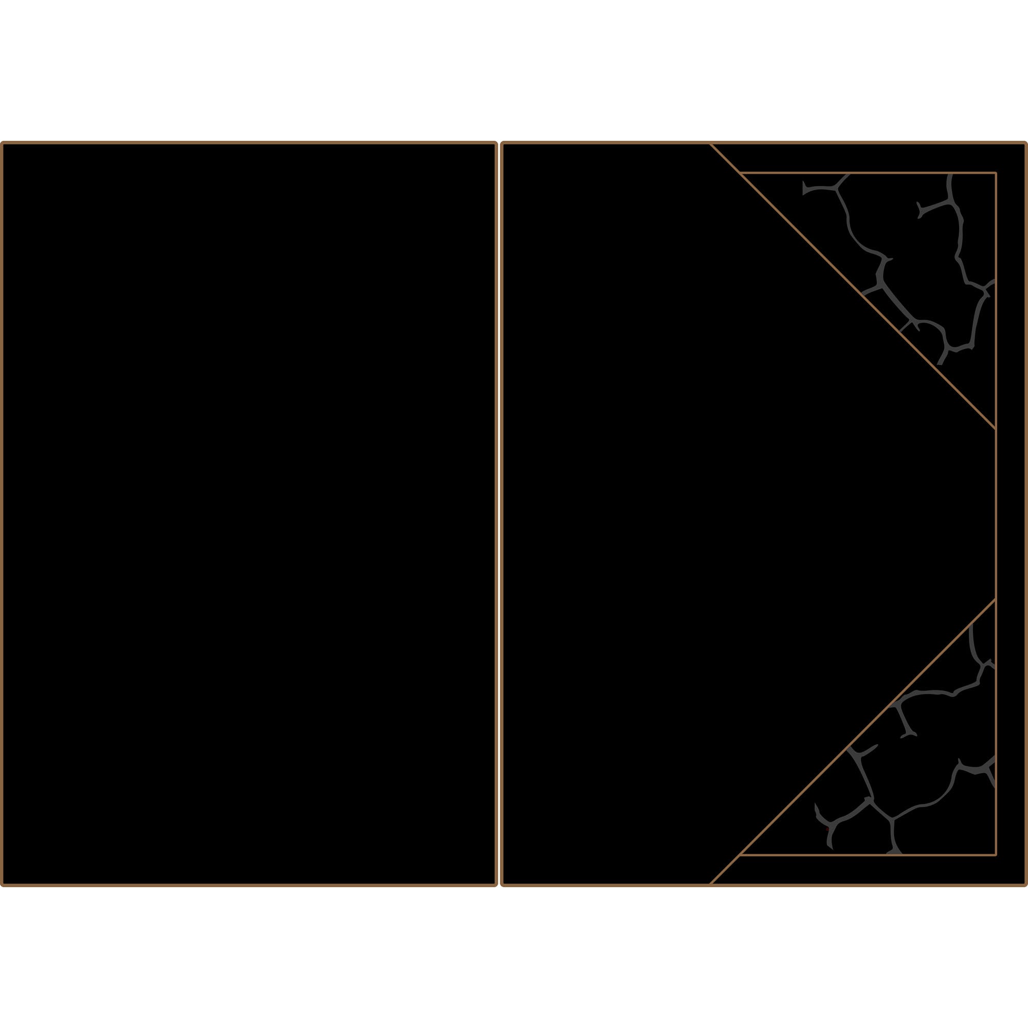 Can-Am Maverick X3 - 4 Seat Headliner - AZP