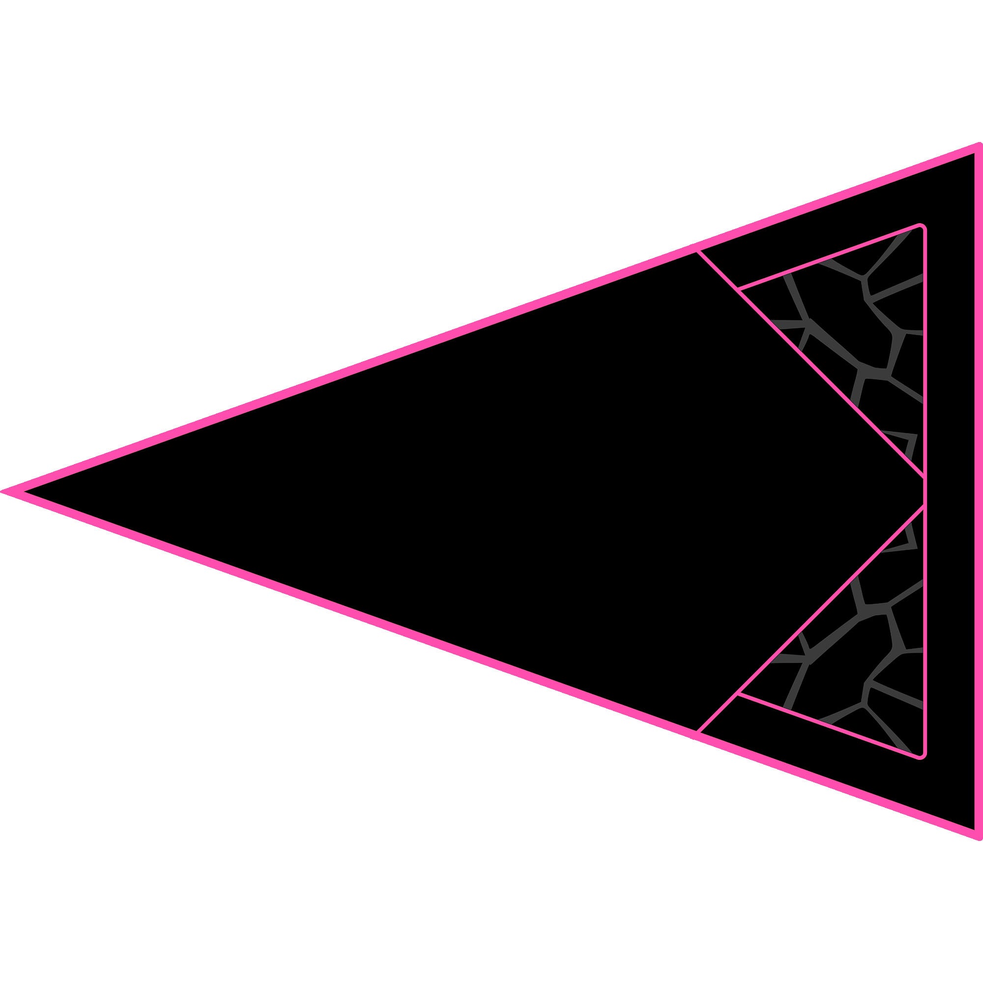 Polaris RZR 1000 - 2 & 4 Seat Dragon Fire Trunk - OEM