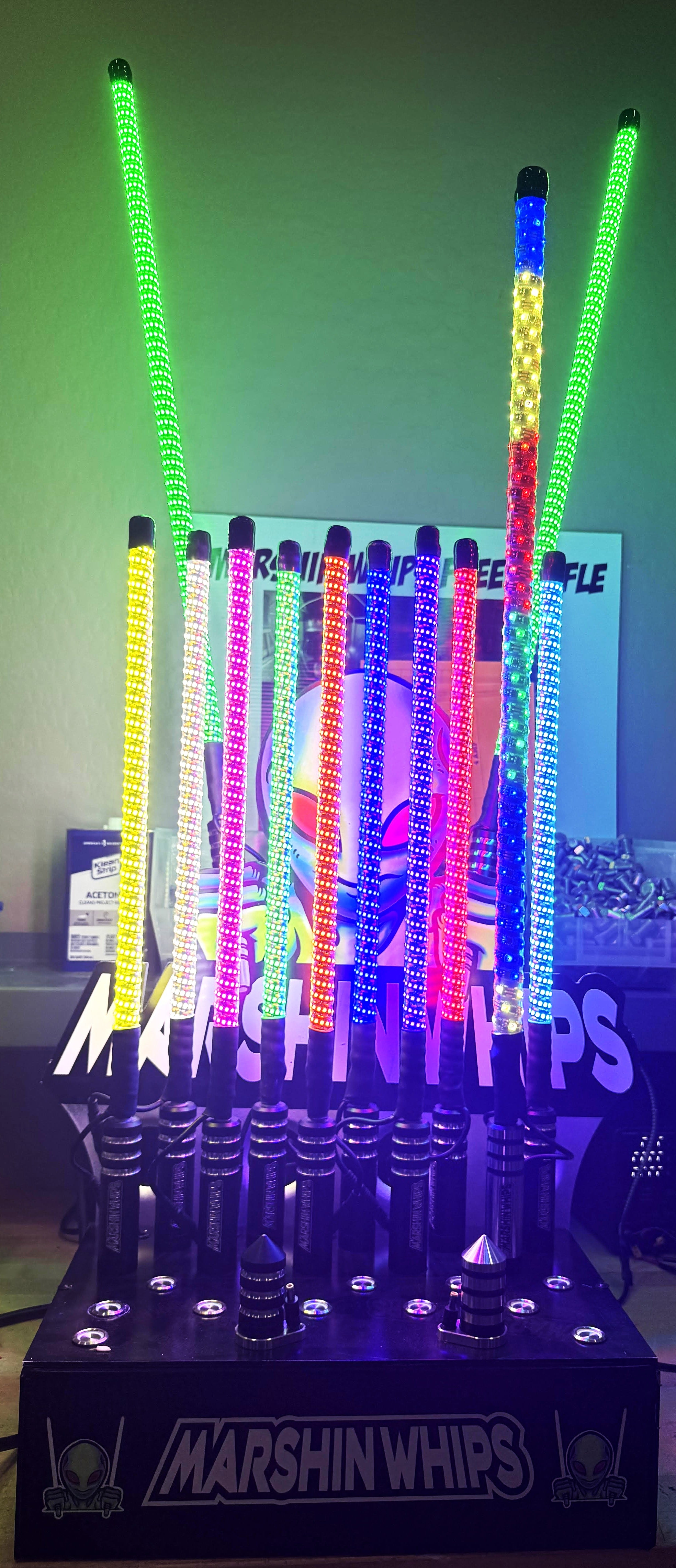 Large Marshin Whip Display