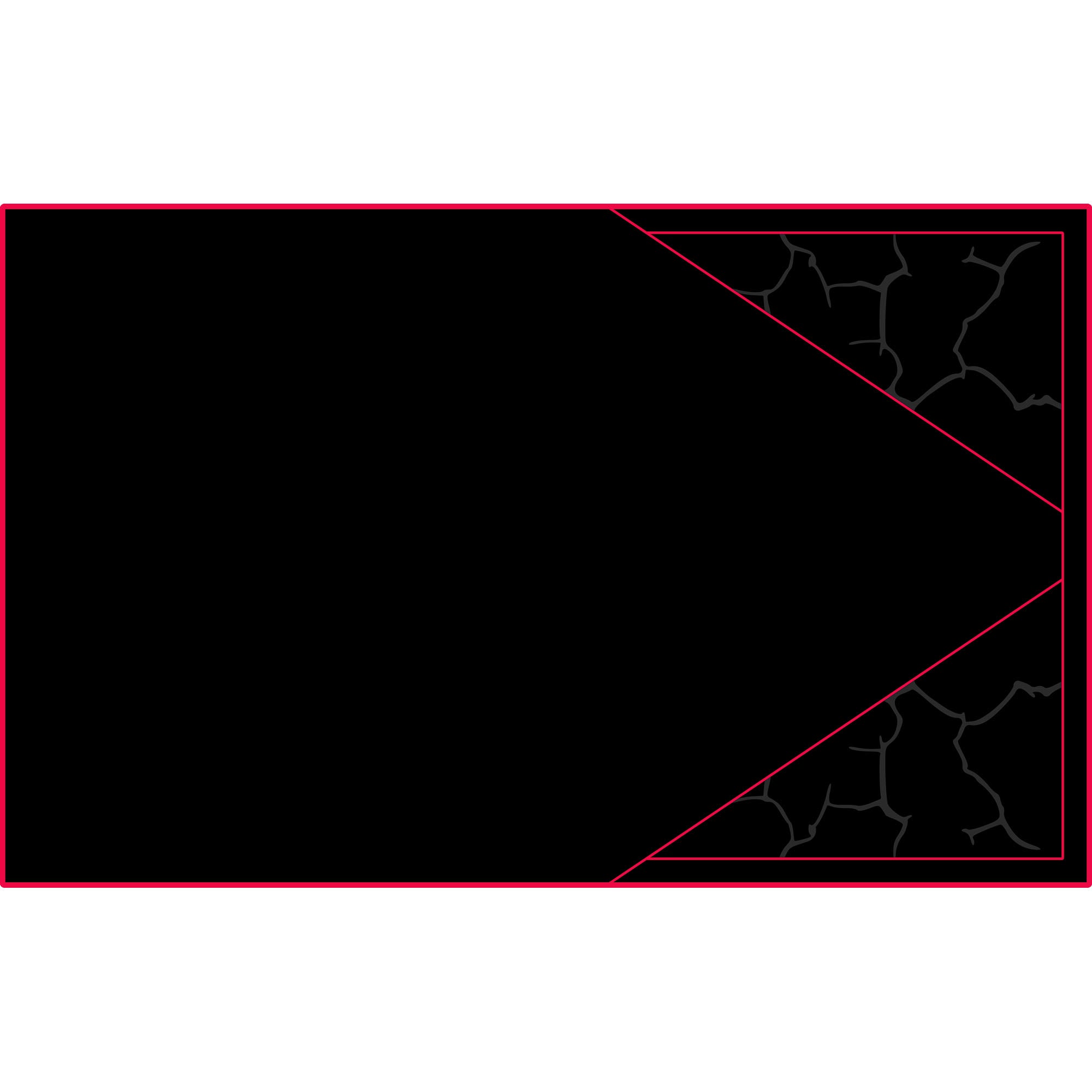 Polaris Pro R - 4 Seat Headliner - AZP