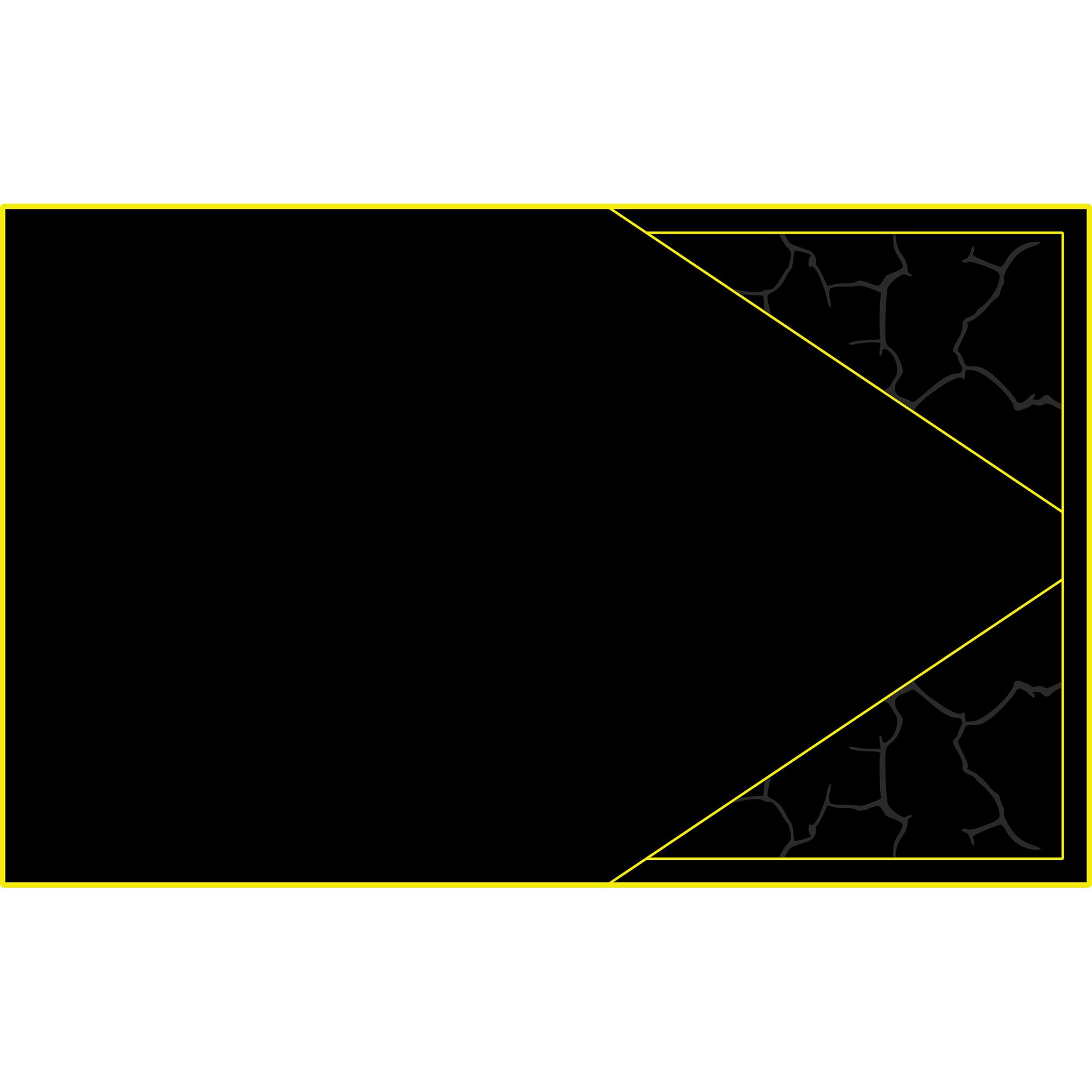 Polaris Pro R - 4 Seat Headliner - AZP