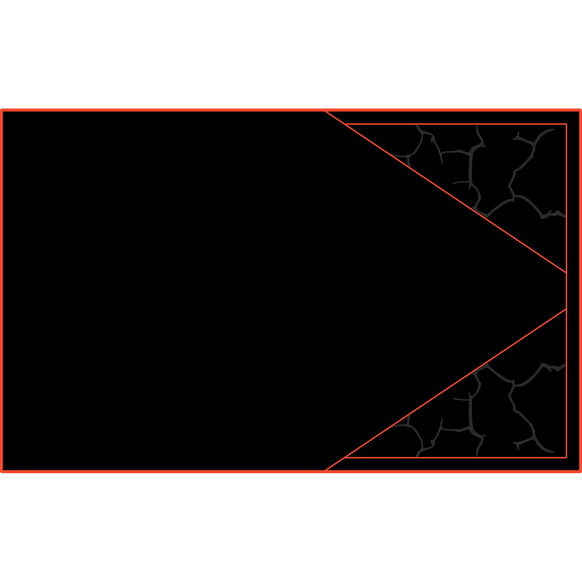 Polaris Pro R - 4 Seat Headliner - AZP