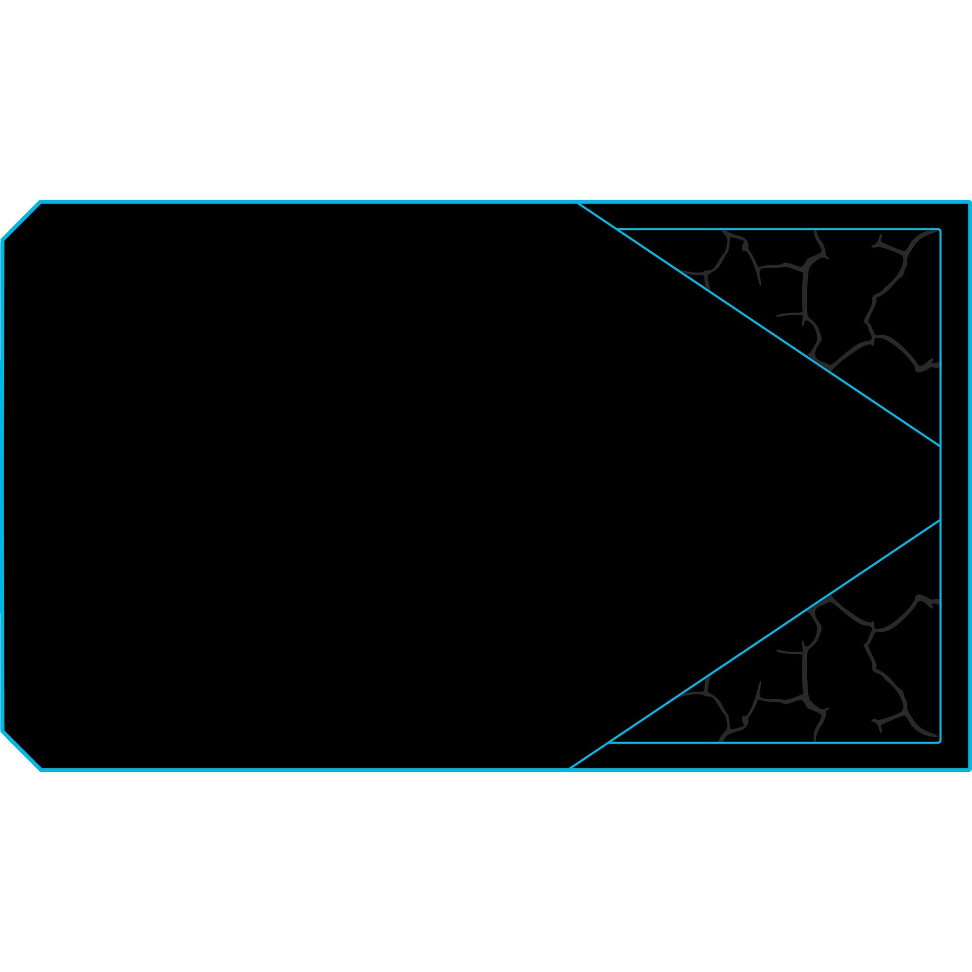 2022-2024 Polaris Pro R - 4 Seat Headliner - TMW