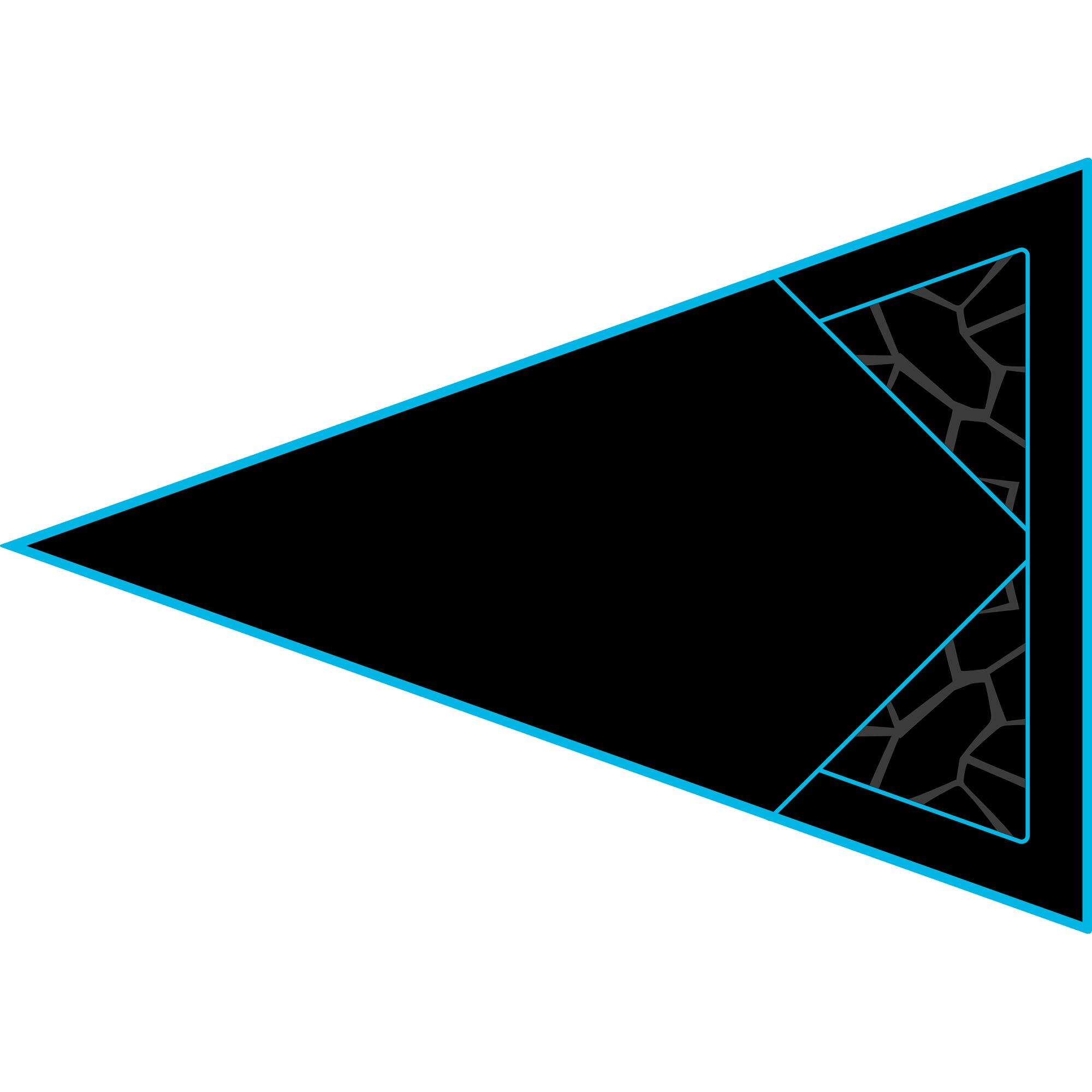 Polaris RZR 1000 - 2 & 4 Seat Dragon Fire Trunk - OEM