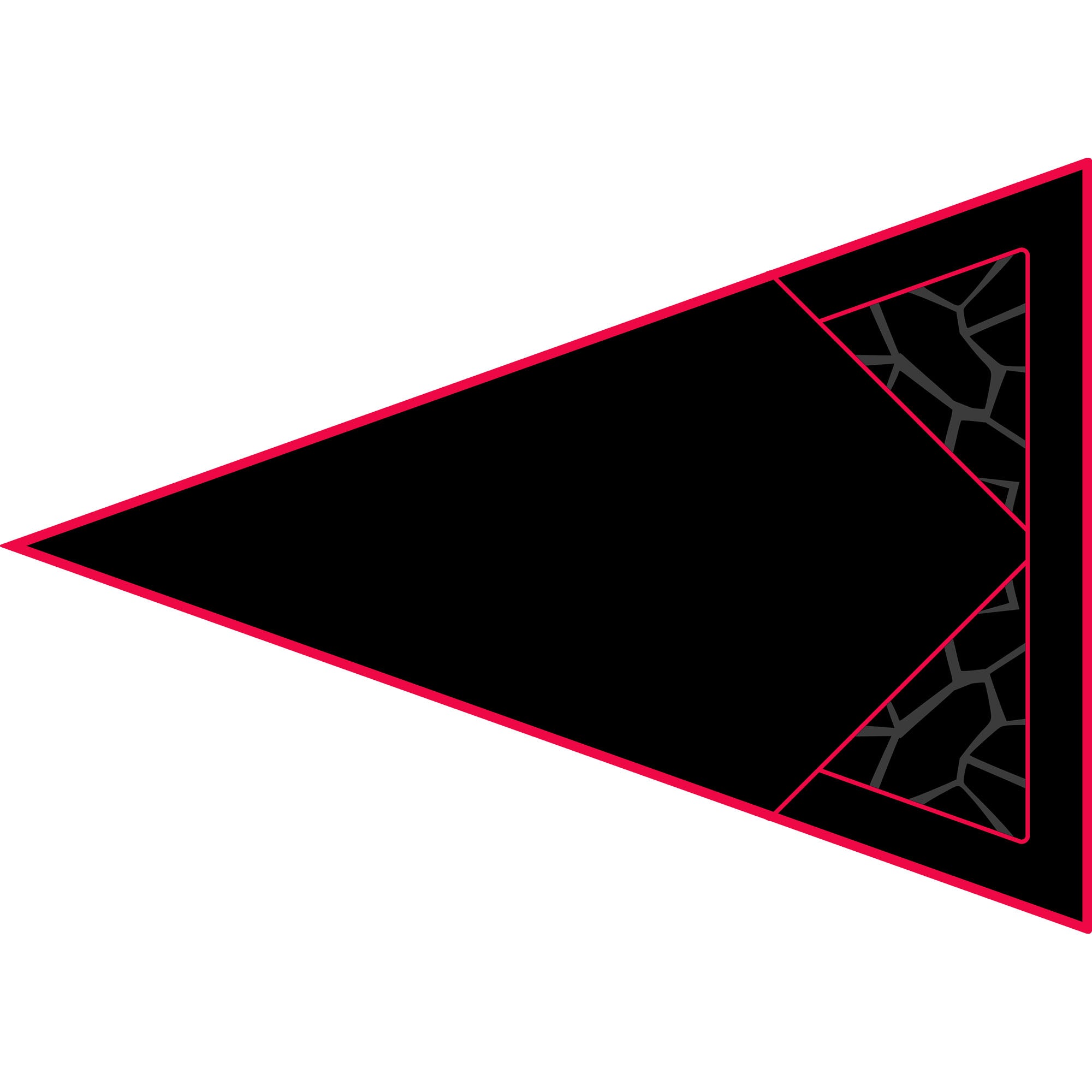 Polaris RZR 1000 - 2 & 4 Seat Dragon Fire Trunk - OEM