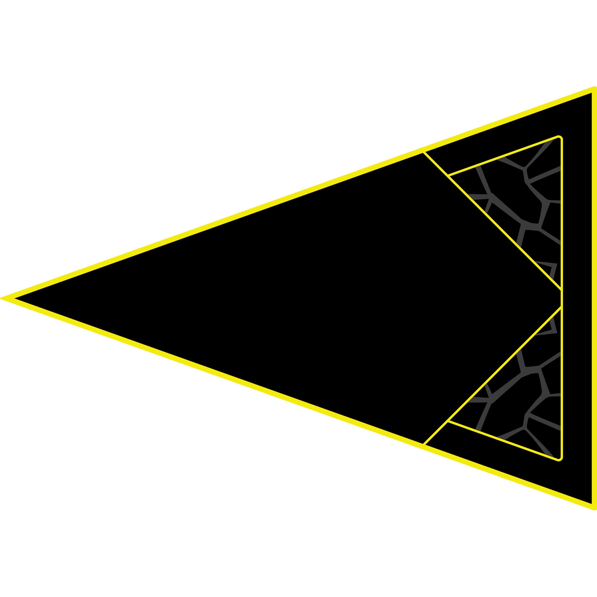 Polaris RZR 1000 - 2 & 4 Seat Dragon Fire Trunk - OEM