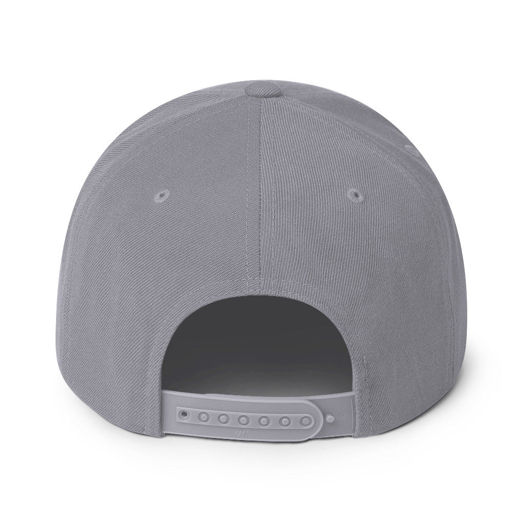 Montana Tags - Snapback Hat